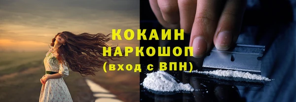 мескалин Михайлов